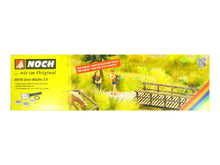 Laden Sie das Bild in den Galerie-Viewer, Modellbau Grasmaster 2.0 mit 20 KV Beflockung Geländebau, Noch 60135 OVP