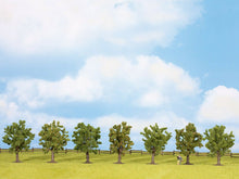 Laden Sie das Bild in den Galerie-Viewer, Noch 25090, Obstbäume, grün, 7 Stück, ca. 8 cm hoch, Spur H0/TT/N/Z, neu, OVP