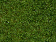 Laden Sie das Bild in den Galerie-Viewer, Noch 07102, Wildgras, hellgrün, neu, OVP