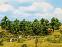 Laden Sie das Bild in den Galerie-Viewer, Modellbau Laubbäume, 6 Stück, 14 - 18 cm hoch, Noch H0 24602 neu , OVP