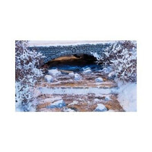 Laden Sie das Bild in den Galerie-Viewer, Noch 08754, Eiskristall-Paste, neu, OVP