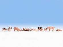 Laden Sie das Bild in den Galerie-Viewer, Noch H0 15712, Schweine, neu, OVP