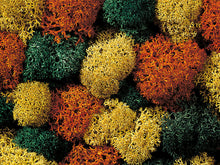 Laden Sie das Bild in den Galerie-Viewer, Noch 08620, Dekormoos, herbstlich, 75g, neu, OVP