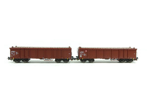 2er Set Offene Güterwagen Eaos DB AG VI mit Holzladung,Piko H0 58235 neu OVP