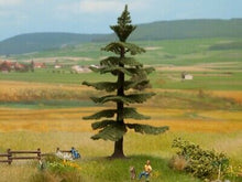 Laden Sie das Bild in den Galerie-Viewer, Noch 21819 -Doppelpack- Nordmanntanne, H0/TT/N, neu
