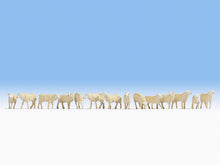Laden Sie das Bild in den Galerie-Viewer, Modellbau Figuren Tiere 14 Schafe , Noch H0 15749 neu, OVP
